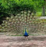 ?眽砧d'鈥絩&amp;殻奦p妼#$揍?k?D.?隹7虡Z鰨譵╩?的简单介绍-爱游戏平台